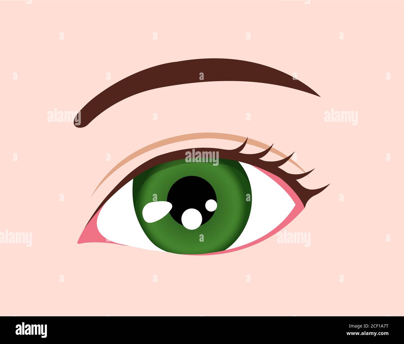Immagine del colore degli occhi/degli occhi umani (verde) Illustrazione Vettoriale