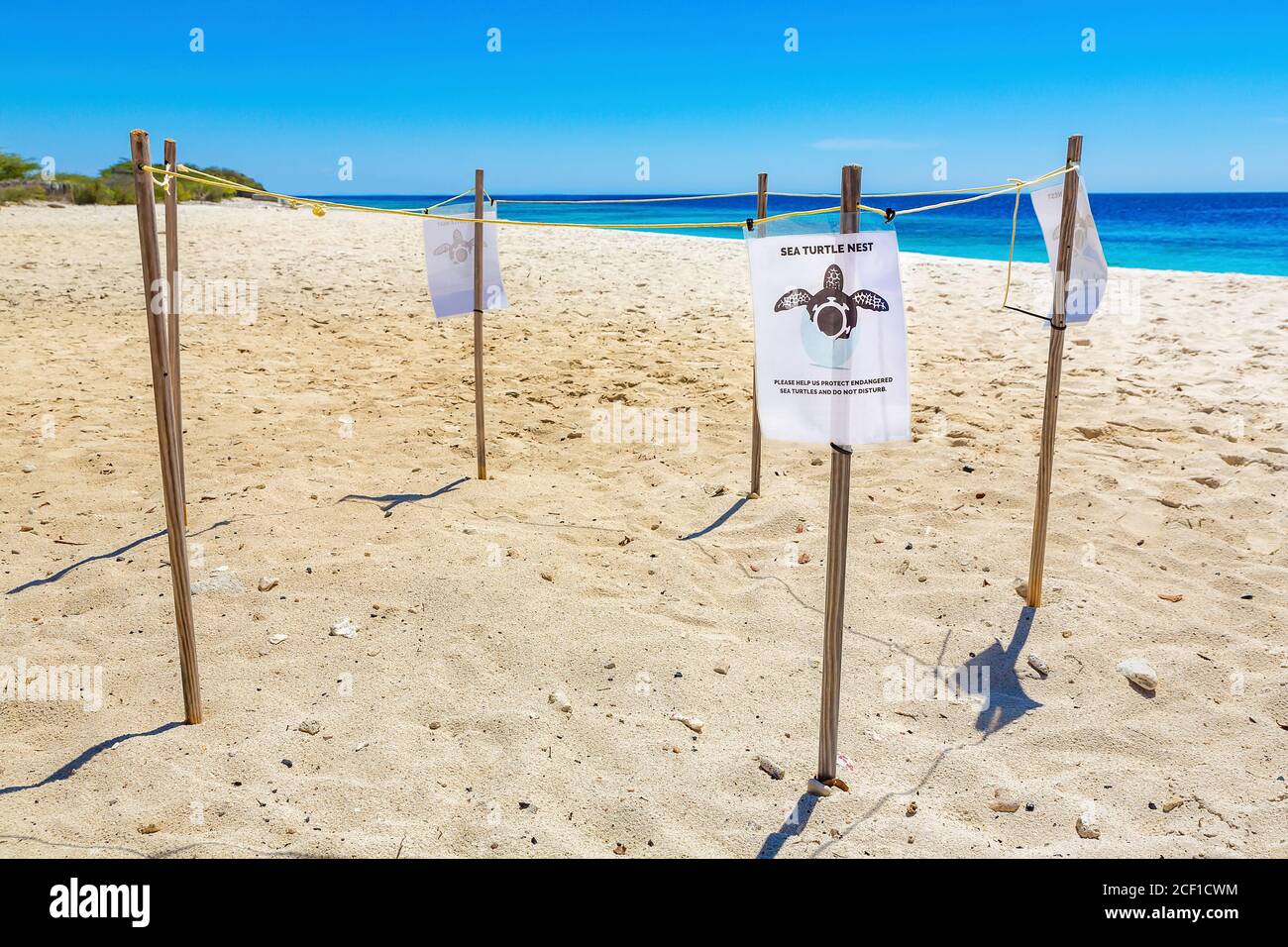 Nido di tartaruga marina protetta sulla spiaggia con mare sull'isola Bonaire Foto Stock