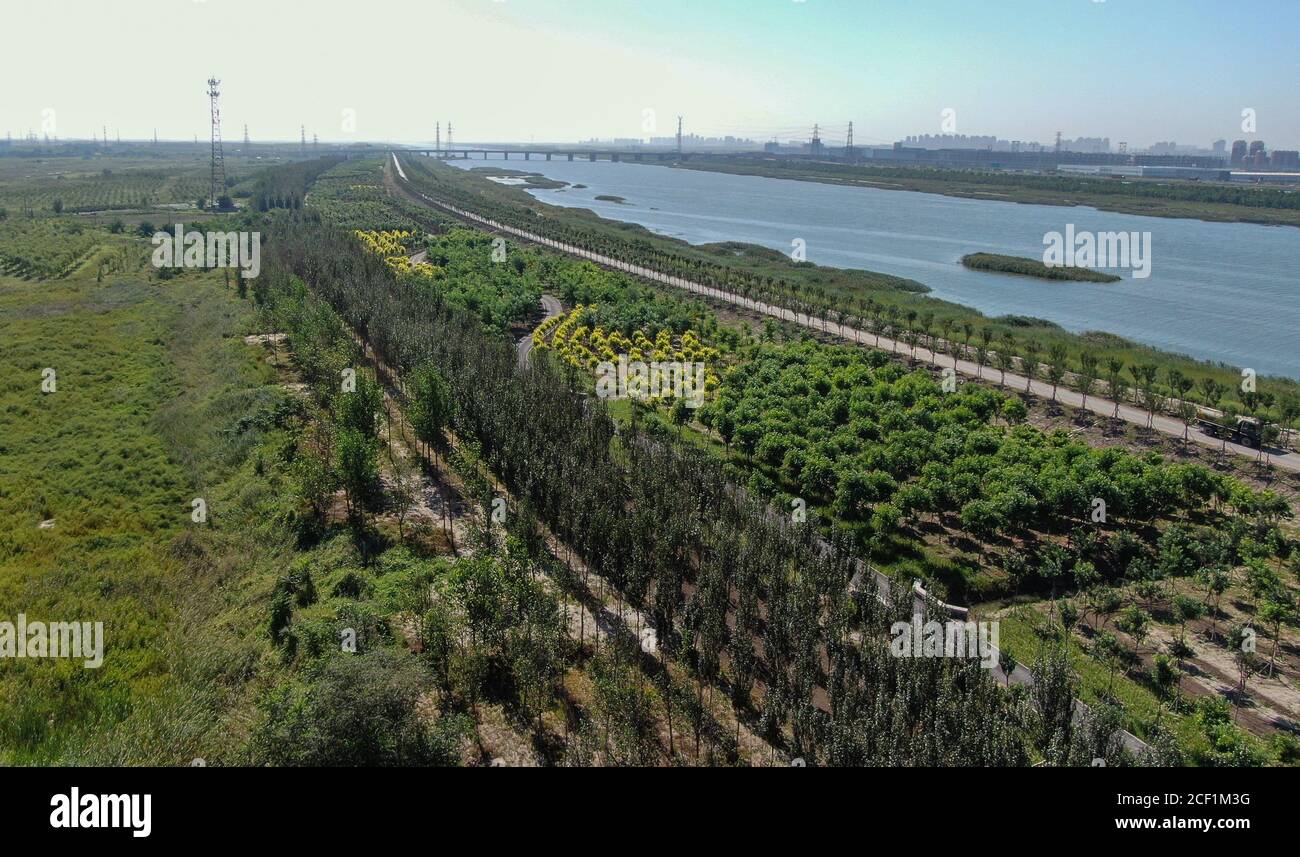 (200903) -- TIANJIN, 3 settembre 2020 (Xinhua) -- Foto aerea scattata il 1 settembre 2020 mostra una vista di un'area ecologica nel distretto di Ninghe a Tianjin, comune della Cina del nord. Negli ultimi anni, Tianjin ha promosso la costruzione di un'area verde di barriera ecologica sulla terra tra la nuova area di Tianjin Binhai e l'area urbana centrale. (Xinhua/Sun Fanyue) Foto Stock