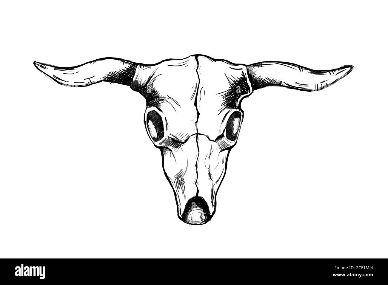 testa bull cranio per il selvaggio west icona schizzo disegnata a mano immagine isolata con sfondo bianco Illustrazione Vettoriale