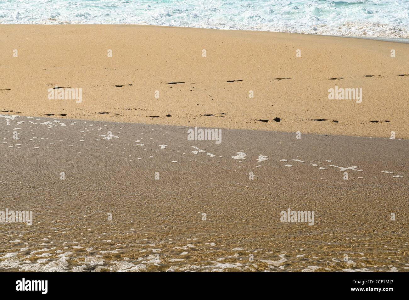 cornovaglia in estate - sulla spiaggia Foto Stock