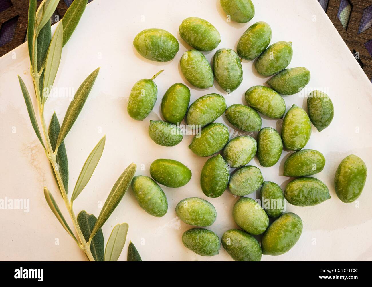 Primo piano di olive con un ramo di olive da coltivazione biologica appena raccolto in Spagna. Foto Stock