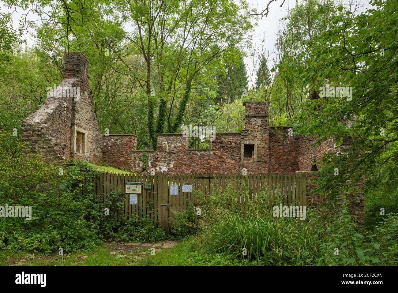 La rovina di Keepers Cottage nella riserva naturale di Harridge Wood che è ora una casa per diverse specie di pipistrelli, Somerset, Inghilterra. Foto Stock
