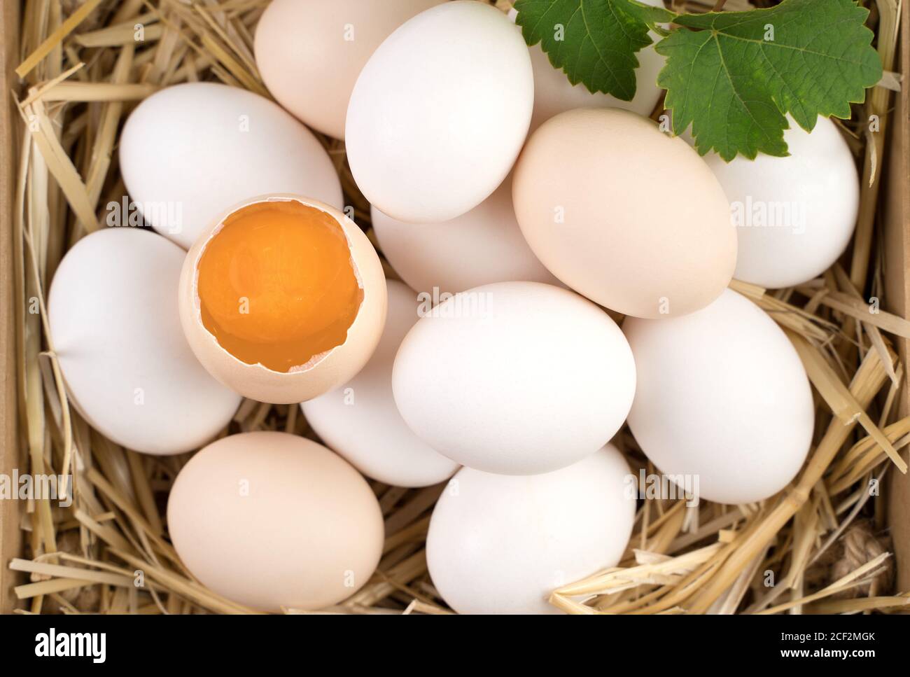 Uova di pollo bianche e marroni con un uovo rotto al centro. Foto Stock