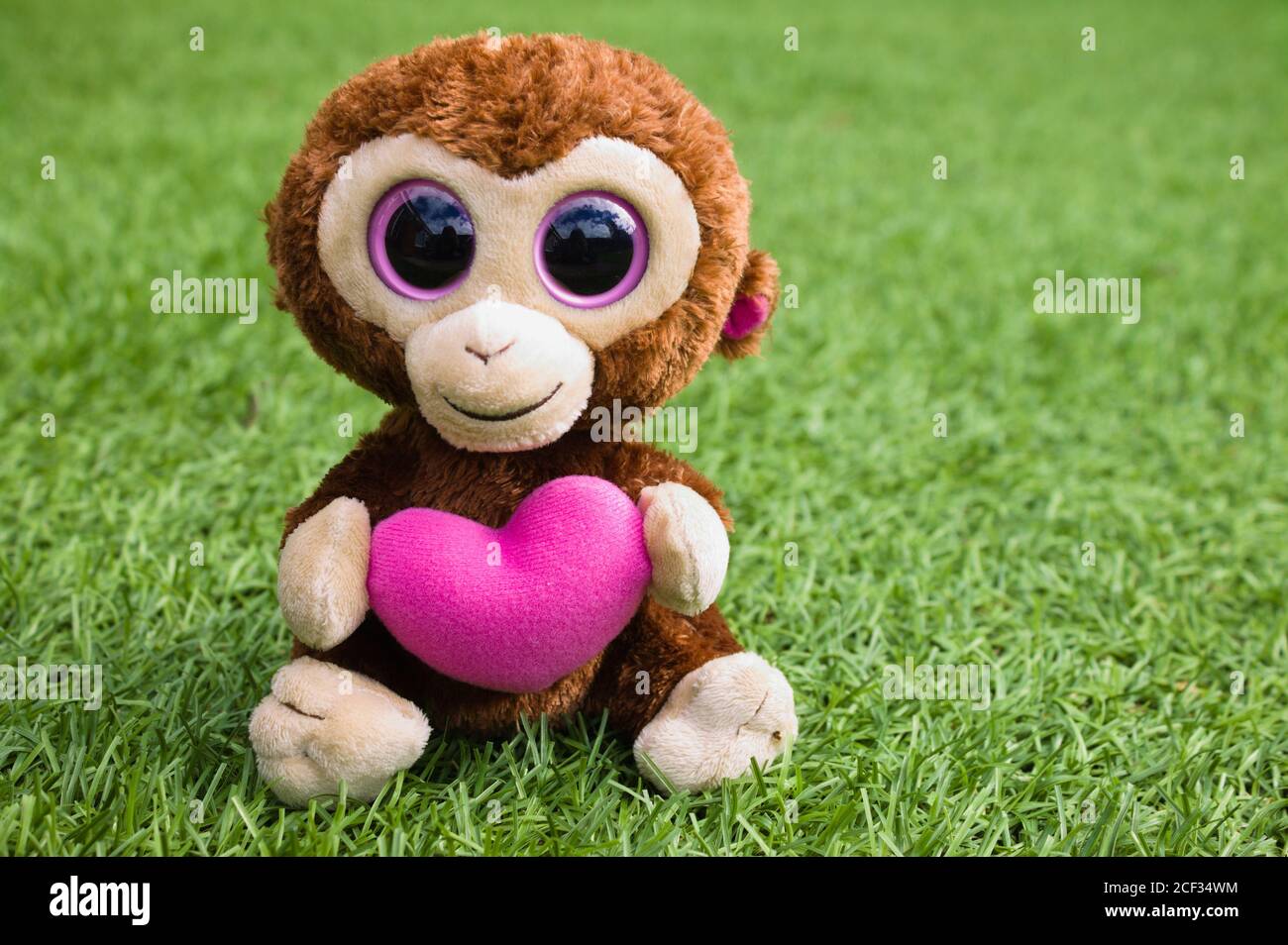 TY Beanie Boo Boos Casanova la scimmia di San Valentino con cuore rosa.  Scimmia giocattolo morbida che tiene un cuore rosa, isolato su erba con  spazio copia Foto stock - Alamy