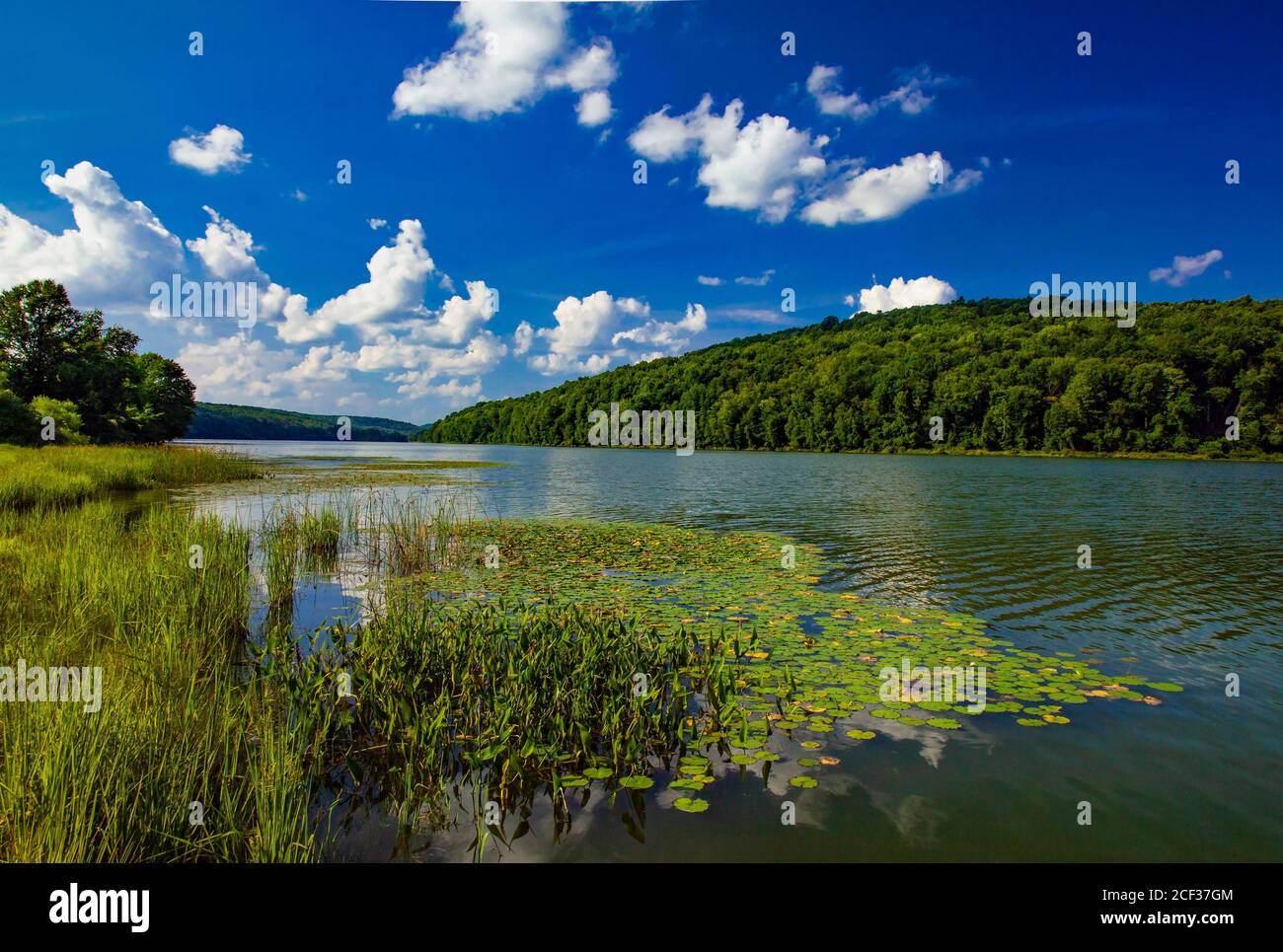 Il lago Prompton, di 290 ettari circa, si trova nel Wayne Country Pennsylvania ed è il fulcro del Prompton state Park, ampio 2,000 ettari circa. Il lago è stato costruito dall'esercito degli Stati Uniti C. Foto Stock