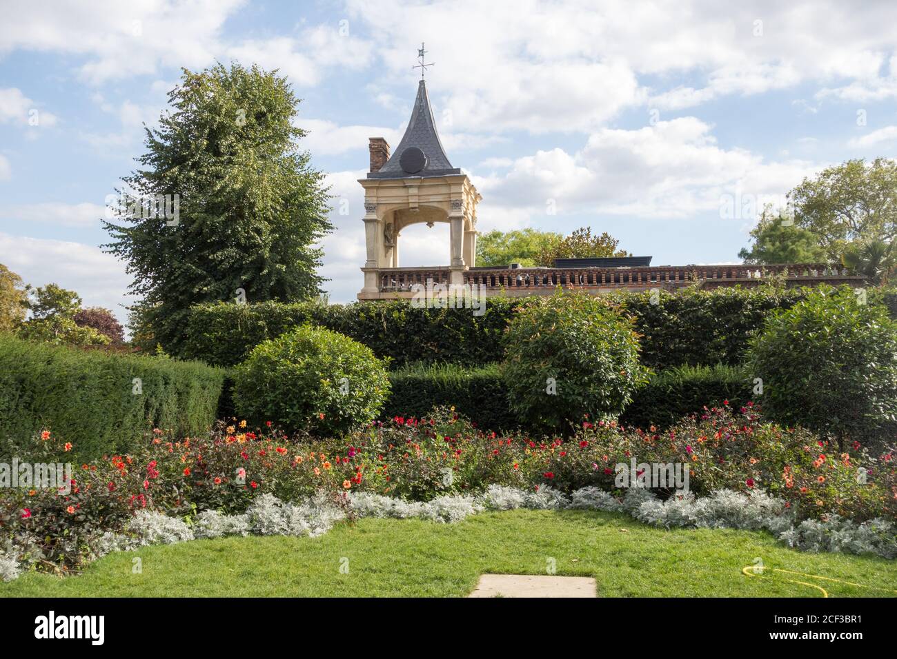 Roses in the Orangery, Holland Park, Kensington, Londra, W8, Regno Unito Foto Stock