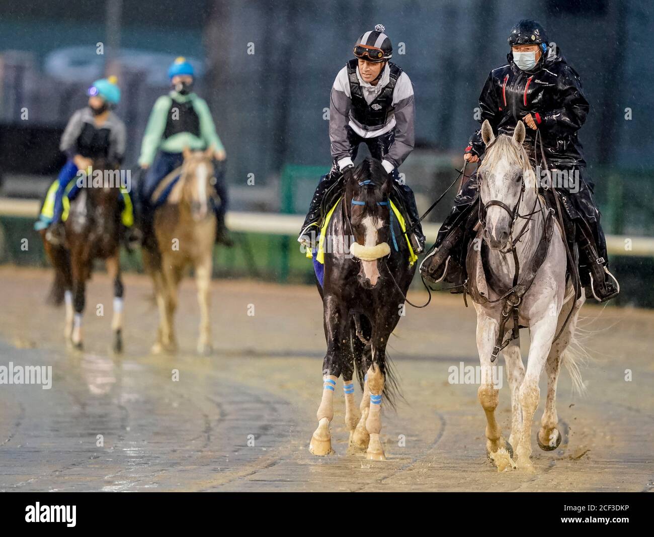 Louisville, Kentucky, Stati Uniti. 5 gennaio 2017. 3 settembre 2020: Gli esercizi di A.P. di onore come cavalli si preparano per il 2020 Kentucky Derby e Kentucky Oaks a Churchill Downs a Louisville, Kentucky. La gara è in corso senza tifosi a causa della pandemia del coronavirus che ha afferrato il mondo e la nazione per gran parte dell'anno. Scott Serio/Eclipse Sportswire/CSM/Alamy Live News Foto Stock