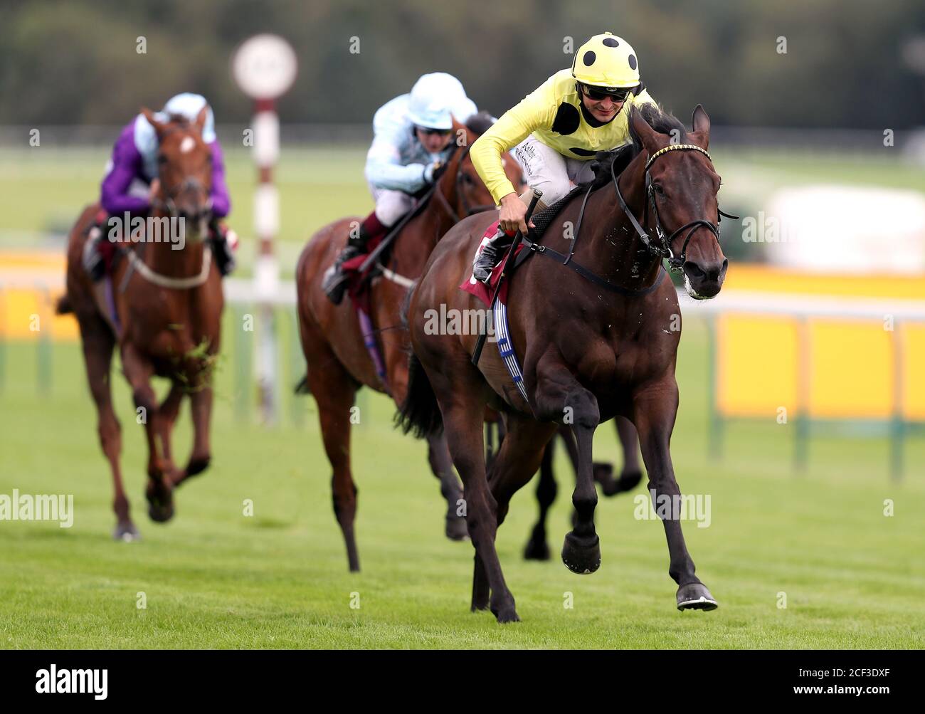 Senza una lotta guidata dal fantino Andrea Atzeni vince la Read Ryan Moore Columns sulla corsa betting.betfair handicap, che si traduce nella sua 1000 a vittoria di carriera nazionale all'ippodromo di Haydock Park, Haydock. Foto Stock