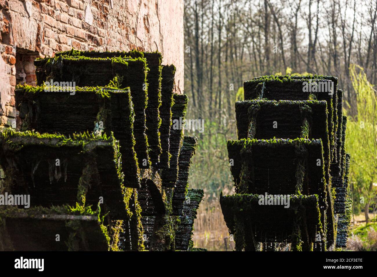 Italia Veneto Quinto di Treviso - Parco Naturale del Fiume Sile - Oasi di Cervara - Mulino Foto Stock