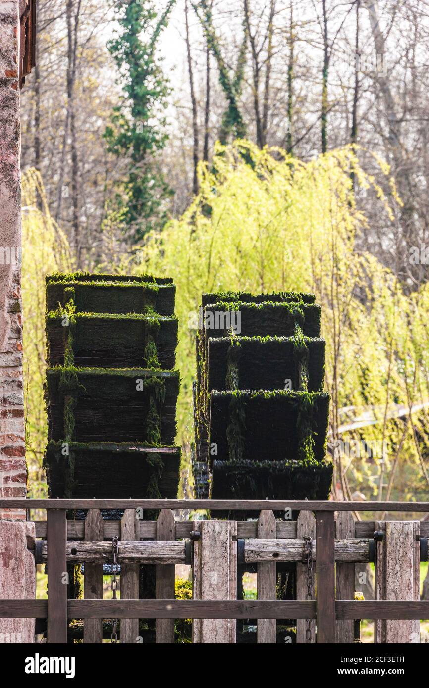 Italia Veneto Quinto di Treviso - Parco Naturale del Fiume Sile - Oasi di Cervara - Mulino Foto Stock