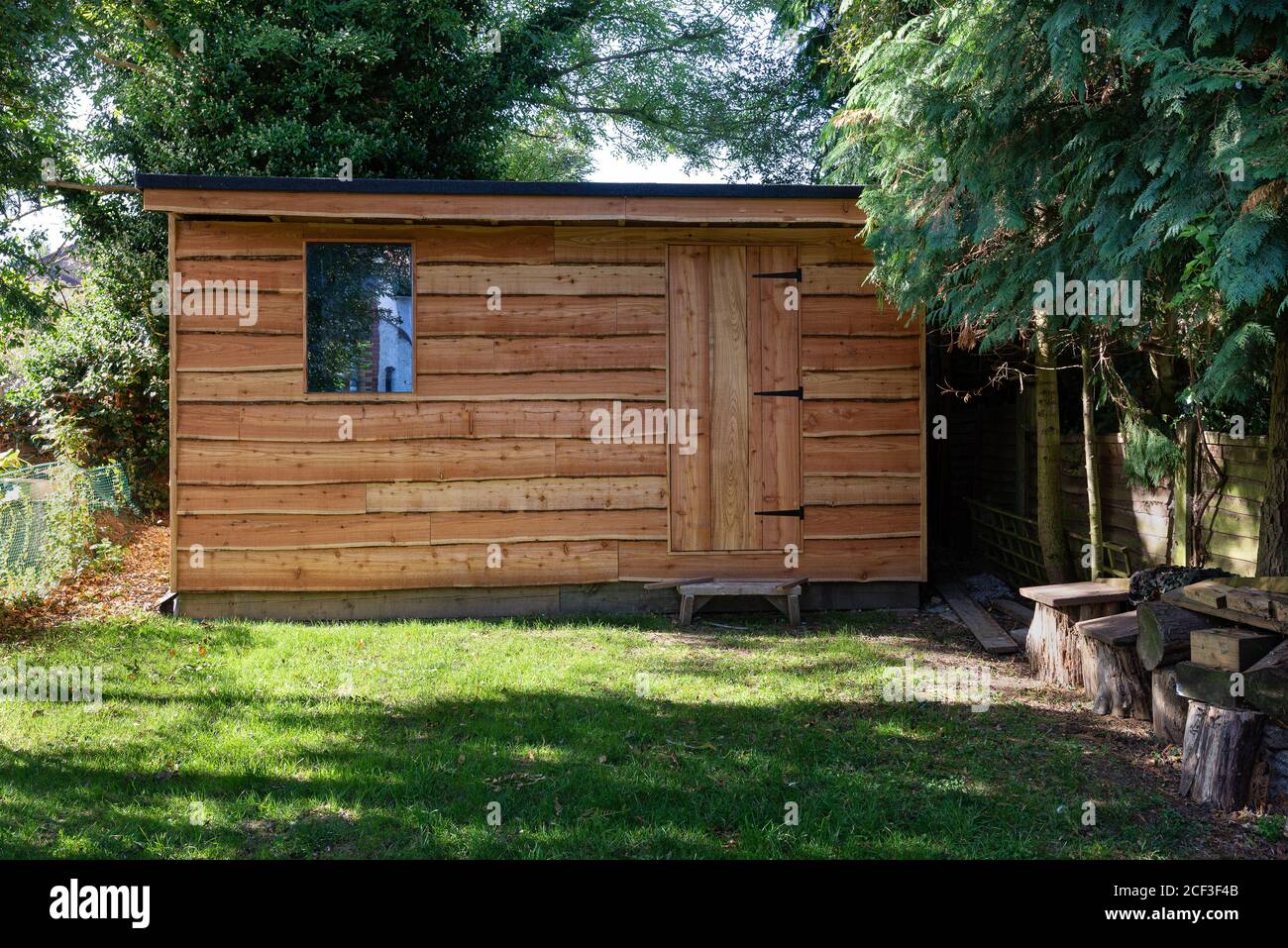 Waney bordo rustico giardino capannone in legno con porta e finestra circondato da alberi maturi e legno tagliato. Foto Stock
