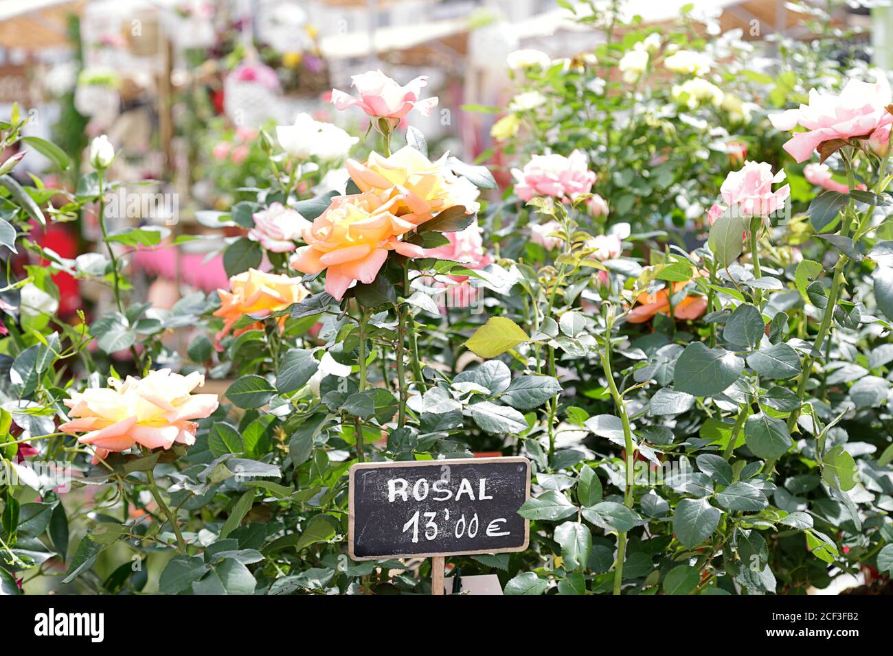 Rose di colori diversi in un mercato di fiori di strada con una lavagna per  la nota di gesso con il prezzo del fiori Foto stock - Alamy