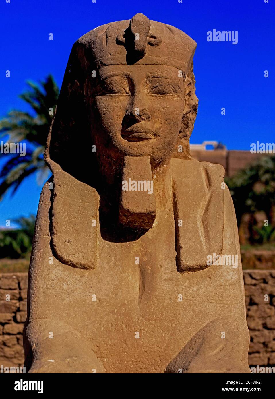 Una sfinge del IV secolo a.C. scolpita con un volto umano nel viale di Sfingi di 3 km (1.5 mi), parte del percorso processionale che collega il Tempio di Luxor con il Tempio di Karnak a Luxor, governatore di Luxor, Egitto. Il viale fu completato durante il dominio del tardo periodo del fondatore della trentesima dinastia, il faraone Nectanebo i, che governò l'impero egiziano da circa il 379 a.C. fino alla sua morte nel 362. Un totale di circa 1,350 sfingi di pietra utilizzati per la linea del Viale, ma molti sono stati rimossi e riutilizzati durante i periodi romano e medievale. Foto Stock
