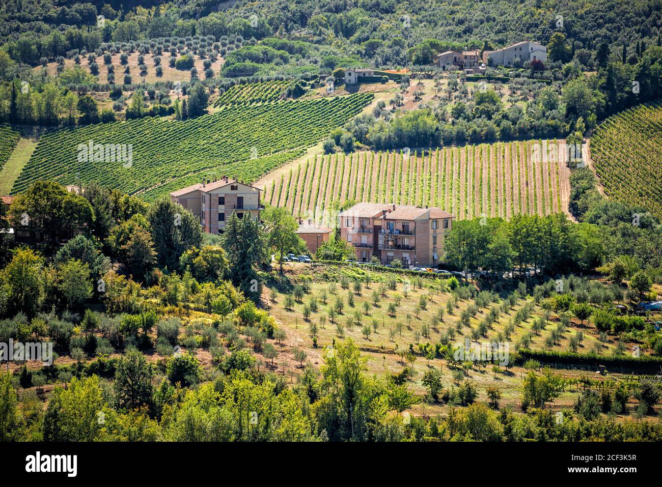 San Gimignano, Italia colline ondulate con vigneti e uliveto e ville in paese paesaggio durante l'estate vista aerea alto angolo Foto Stock