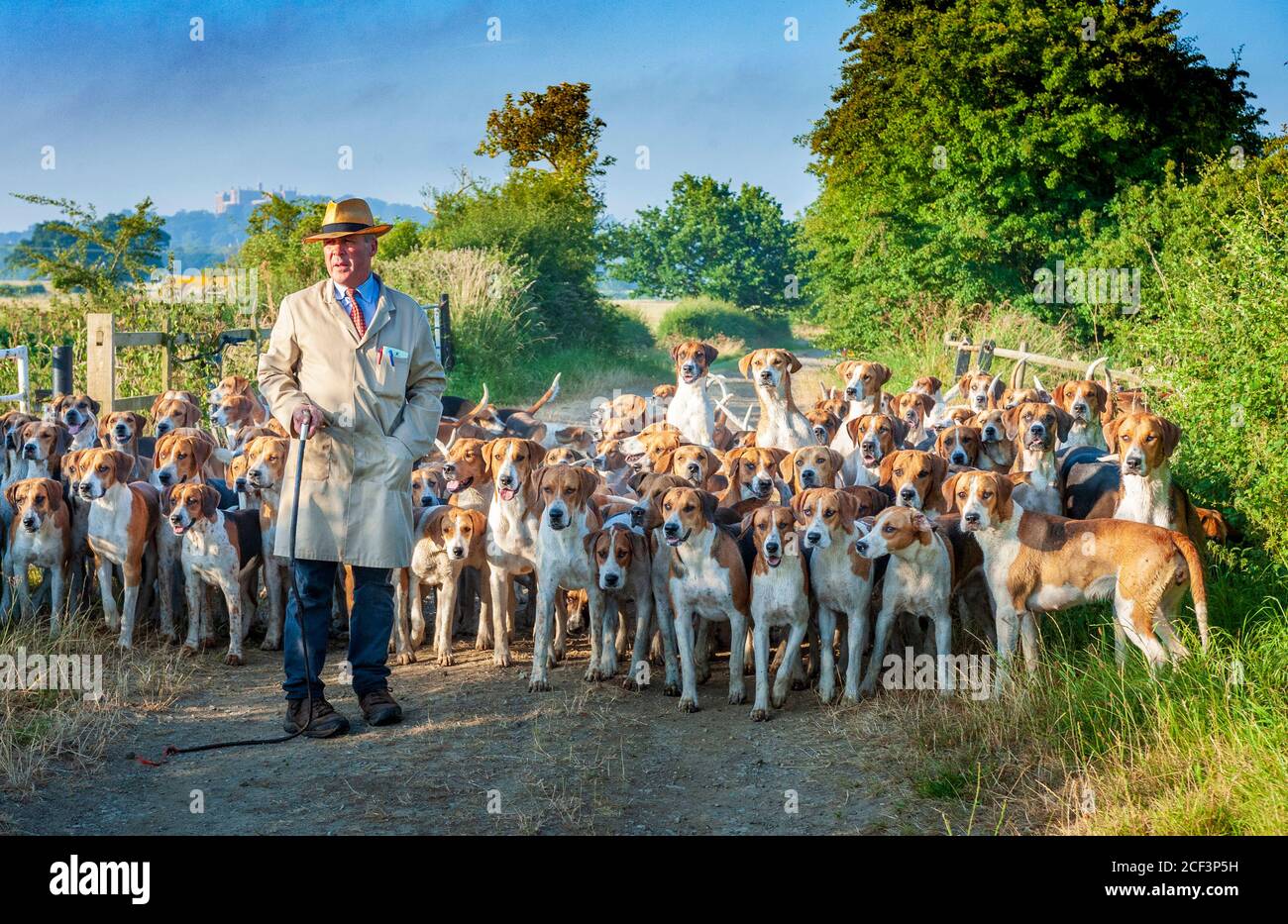 Il signor John Holliday, Huntsman con la caccia al Belvoir, con i suoi abbuoni per l'esercizio di primo mattino Hound nella vale di Belvoir Foto Stock