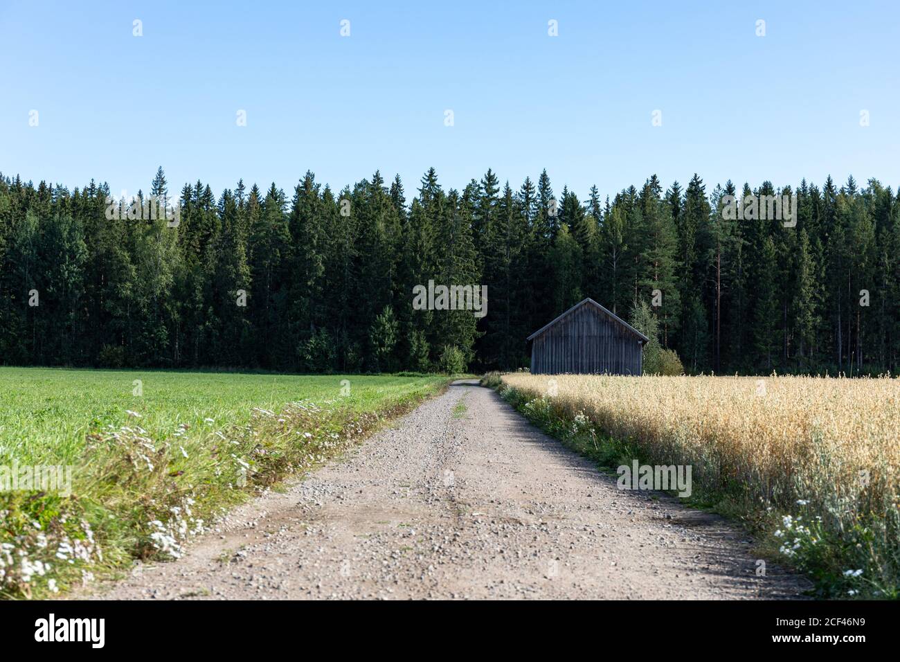 Strada di ghiaia nella campagna rurale di Hauho, Finlandia Foto Stock