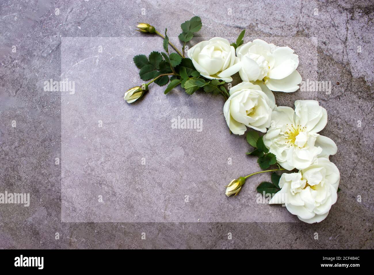 Mockup con carta e fiori. Lettera d'amore con rose. Spazio vuoto per il testo. Vista dall'alto. Modello mockup per certificato regalo Foto Stock