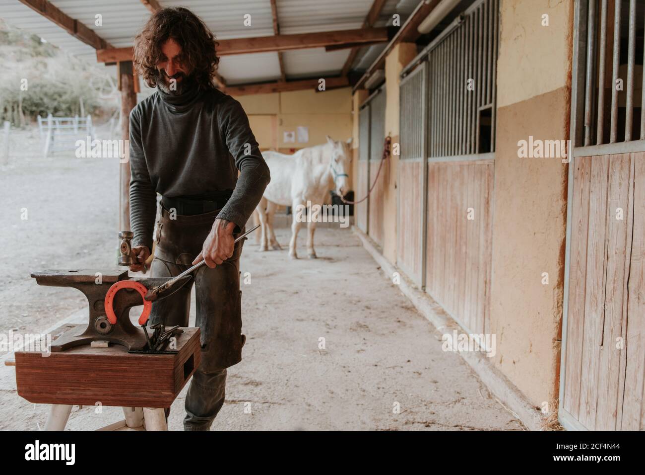 Un adulto si farria con un martello e delle pinze per forgiare il ferro di cavallo caldo su incudine portatile vicino stabile sul ranch Foto Stock