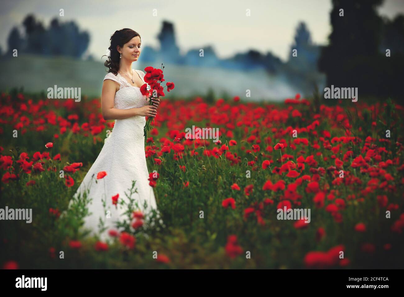 Sposa in un abito bianco con bouquet di papaveri rossi, caldo tramonto  sullo sfondo del grande campo di papavero rosso. Spazio di copia. Il  concetto di calma Foto stock - Alamy