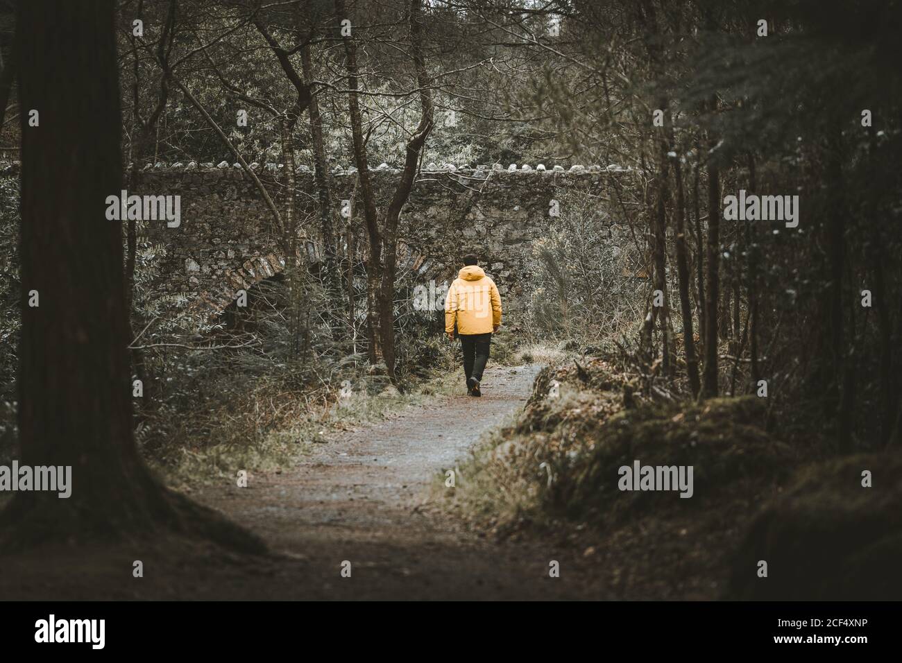 Vista posteriore del viaggiatore maschile in giacca arancione brillante a piedi Sul sentiero accanto al vecchio ponte di pietra mentre si visita Tollymore Forest Park nell'Irlanda del Nord in primavera Foto Stock