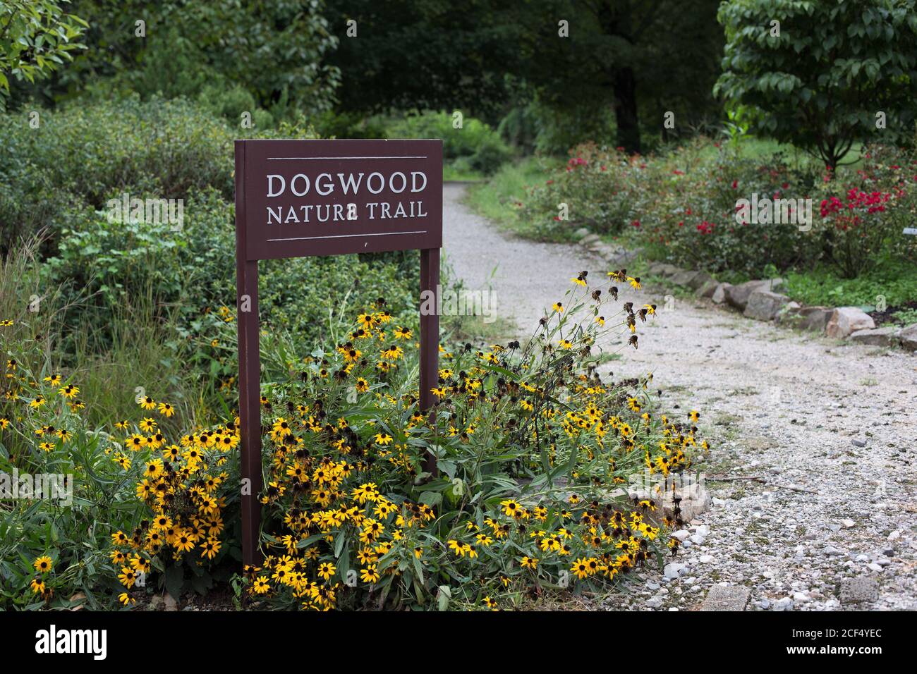 Il Dogwood Nature Trail presso il Knoxville Botanical Garden and Arboretum a Knoxville, TN, Stati Uniti. Foto Stock