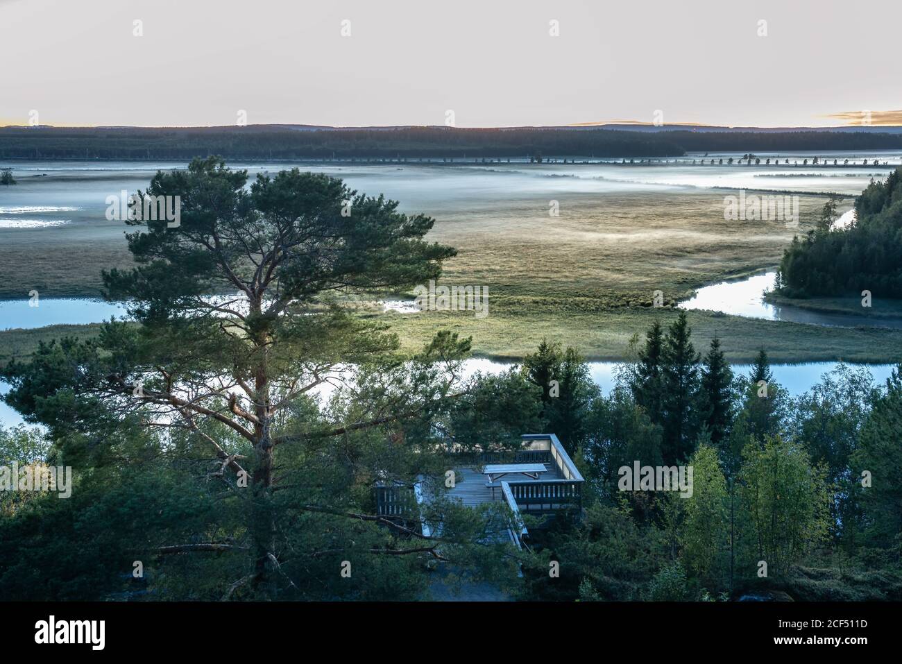 Panoramica nebbia delta del fiume Ume, riserva nazionale nel Nord della Svezia, tarda estate sera. Foresta, pascoli, fiume sono coperti da sottile nebbia bianca, Sole è alm Foto Stock