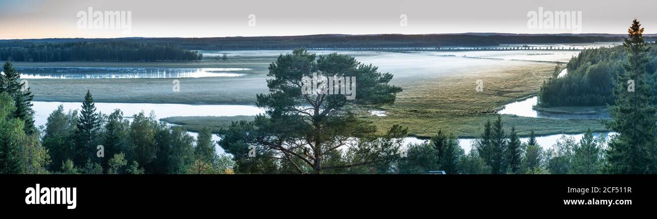 Panorama sul delta del fiume Ume foggy, riserva nazionale nella Svezia del Nord, sera tarda estate. Foresta, pascoli, fiume sono coperti da sottile nebbia bianca, Sun i Foto Stock