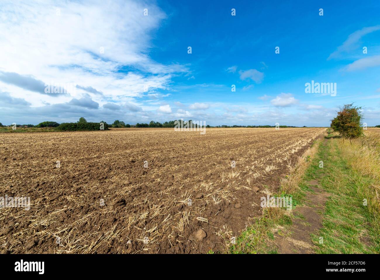 Campo appena arato a Great Wakering, vicino a Southend, Essex, Regno Unito. Cielo blu e nuvola soffice. Campo di coltura agricolo con percorso a piedi al confine Foto Stock