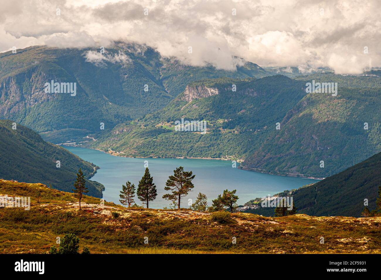 Escursioni sopra il Lustrafjord vicino a Kaupanger e Sogndal, Norvegia Foto Stock