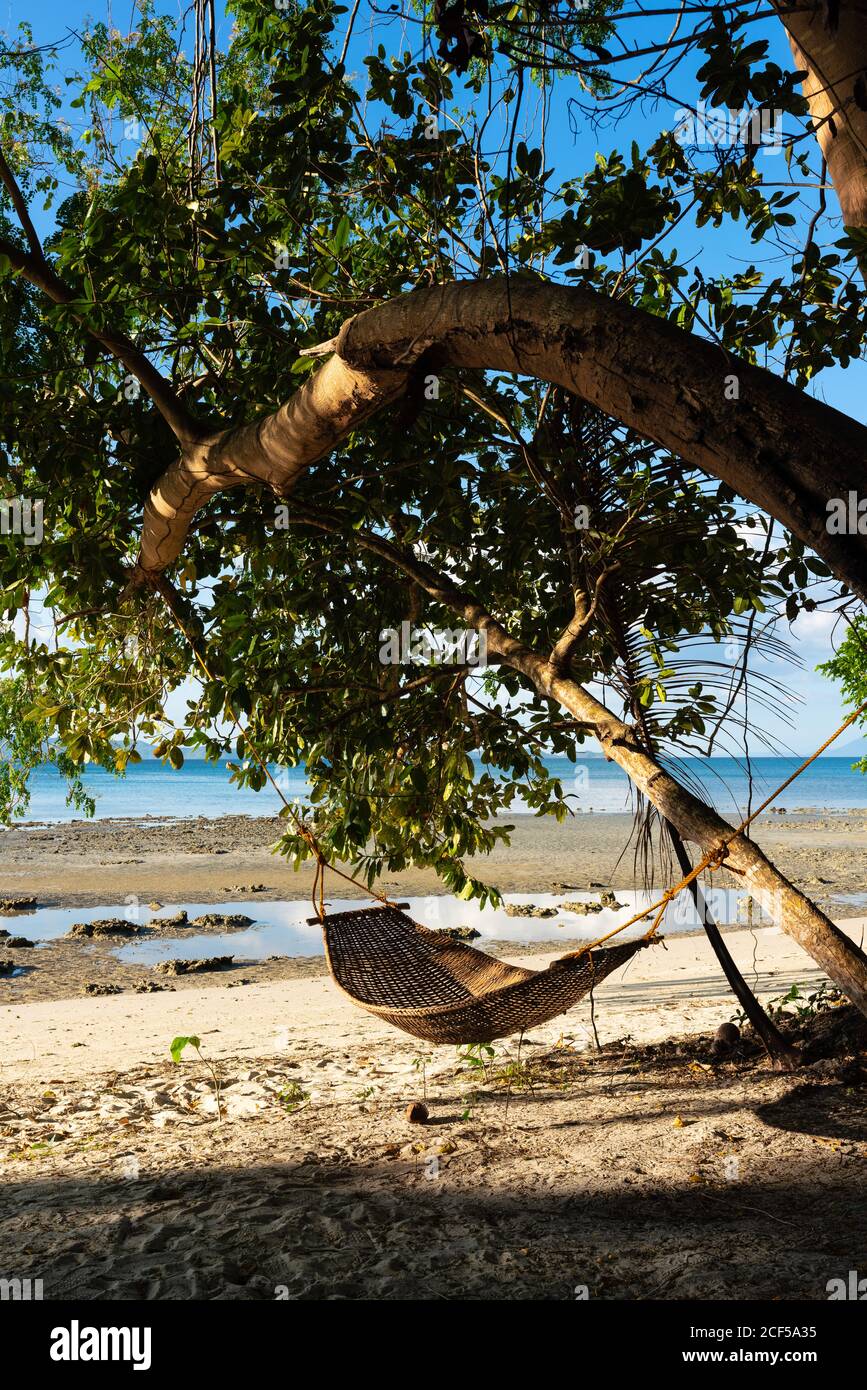 Amaca non occupata in vimini appesa in ombra sotto albero piegato su spiaggia sabbiosa Foto Stock