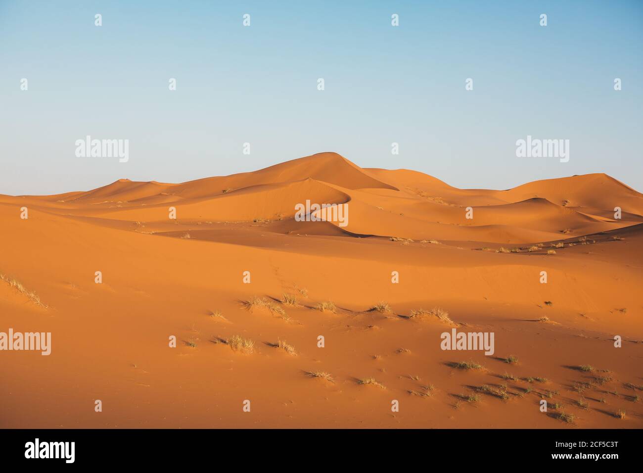 Duna di sabbia rossa del deserto in Marocco Foto Stock