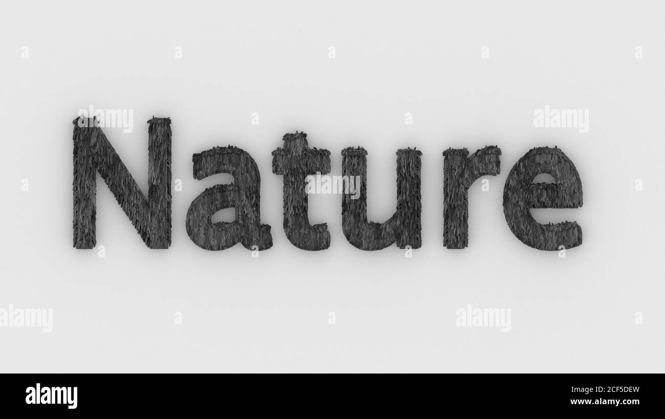 Natura - 3d parola grigio su sfondo bianco. Fresche lettere di erba illustrazione isolata. Natura animali e madre, ecosistema e ambiente. foresta, bi Foto Stock