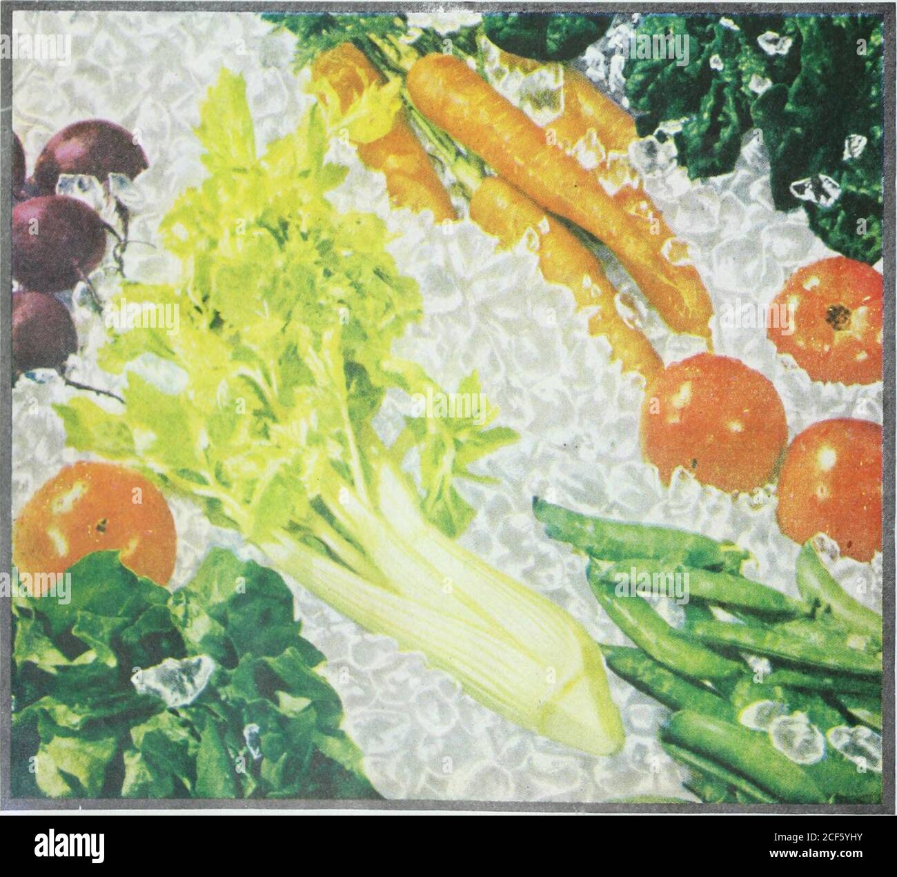 . Il giornale domestico delle Signore. Sappiate che gli ICEMeans puri e frizzante migliorano la vita! Il ghiaccio, puro e frizzante, può contribuire somuch, in o molti modi, alla casa graziosa e moderna, a un costo di trifling. E smartwomen arco che lo realizza sempre più. Una chiamata al vostro locale Ice Company willlicdp godete di vivere meglio attraverso thesee altri usi (,| ICE. Vi forniranno gladlysupply con ghiaccio preparato in esaclythe giusto formato per ogni bisogno domestico. Solo pochi centesimi per il ghiaccio tritato dà la tahle che aspetto di lusso... insalate glamourizes, cibi di mare, frutta, succhi di frutta, cocktail di frutta.. E&gt; 00 / mw mantenere Vegetabl Foto Stock