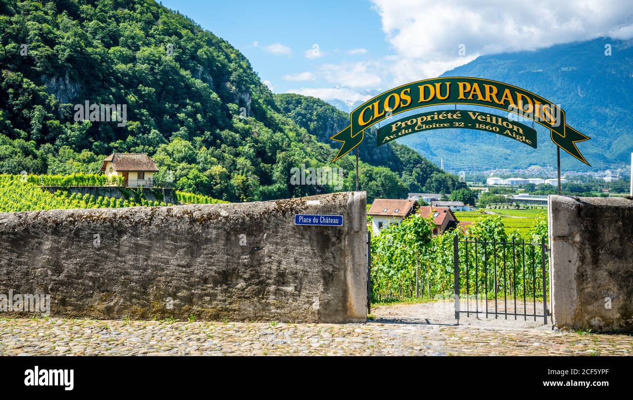 Aigle Svizzera , 4 luglio 2020 : Veillon Clos du Paradis vigna vista panoramica con viti verdi durante l'estate ad Aigle Vaud Svizzera Foto Stock