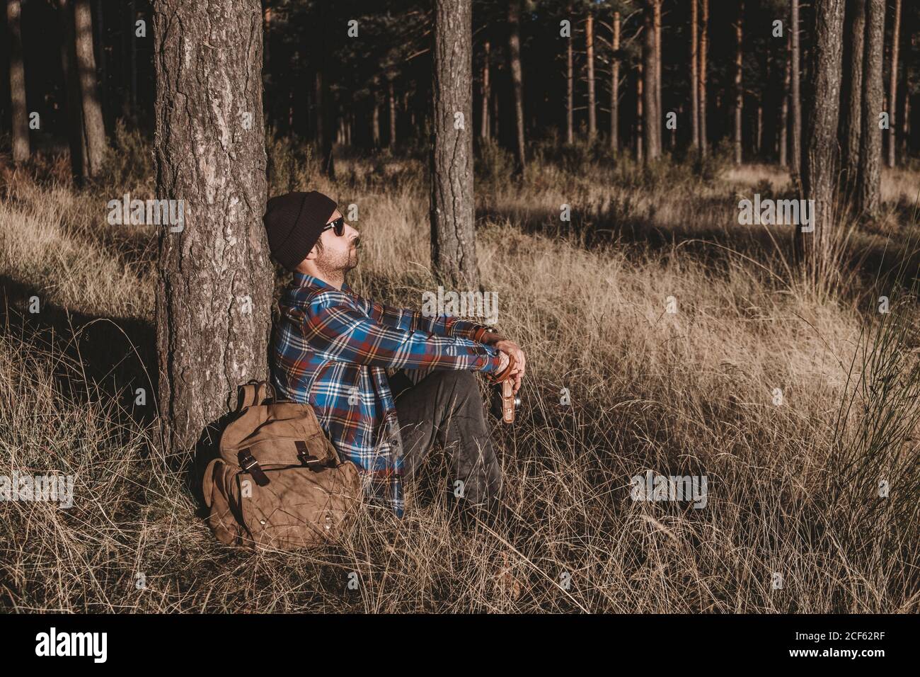 Relax turistico riposando da albero in foresta Foto Stock
