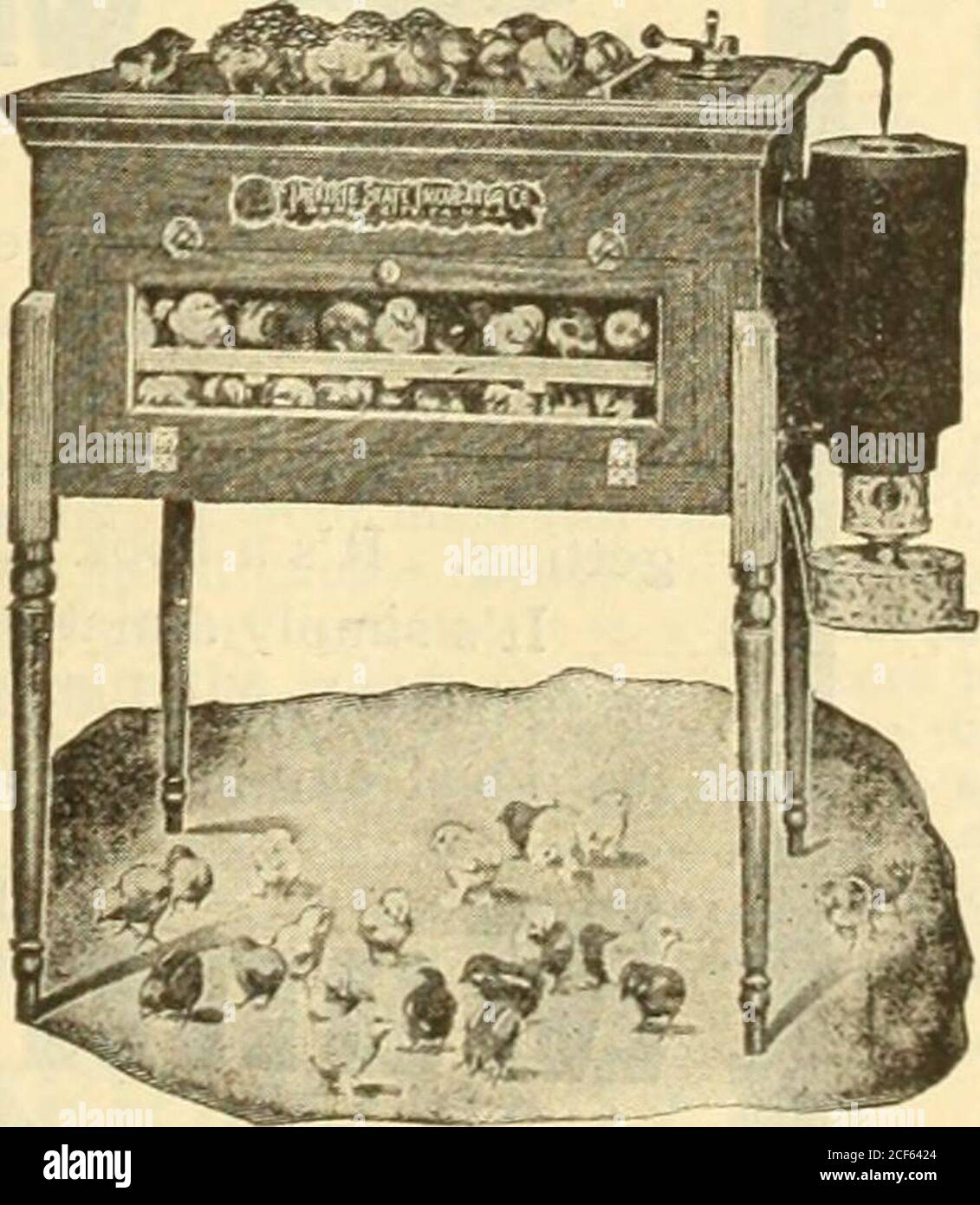 . La Fattoria-pollame. INCUBATORI DI STATO DI PRAIRIE Universal sorpassa le macchine più perfette per incubazione artificiale e Brooding. Abbiamo molte testimonianze come questo: West Springfield, Mass., Dec. 20.1909.Joseph Breck & Sons. Cari Signori: – gli incubatori dello Stato di Prairie e i Brooders che ho comprato da voi lo scorso anno hanno dato la soddisfazione mecomplete. I miei portelli più piccoli sono dell'80% e il più grande del 92%. Ho avuto l'opportunità di co-parare queste macchine con altre tre marche leader, e in esattamente le stesse condizioni, fianco a fianco, l'incubatore di Stato Prairie ha prodotto più grandi, strongerand pulcini più vivibili di esso Foto Stock