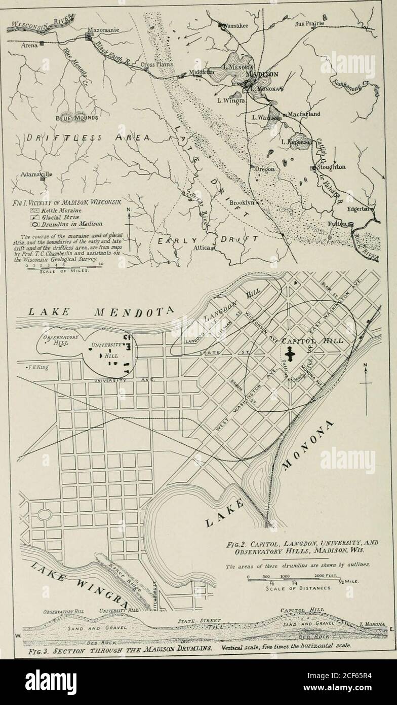 . Il geologo pan-americano. Rocce retacee di Vancouver e le isole Sucia, ha permesso loro di legare determinato con molta più precisione ora che era possi- hle allora. Purtroppo, alcuni dei fossili raccolti da Sir James i [il vettore non può ora trovare. Note su alcuni fossili della formazione di Wanaimo di Van-couver, Hornby, e Denman /stands, J. F. Whiteaves. Gli esemplari a cui si fa riferimento in questo articolo sono di proprietà del Pro-vincial Museum di Victoria, Ik (.. E sono stati obliquamente prestati da itscurator. Il Sig. John Fannin. Molti di loro sono stati raccolti abbastanza recentlybj MR. Walter Harvey, di Ooma.x. Foto Stock