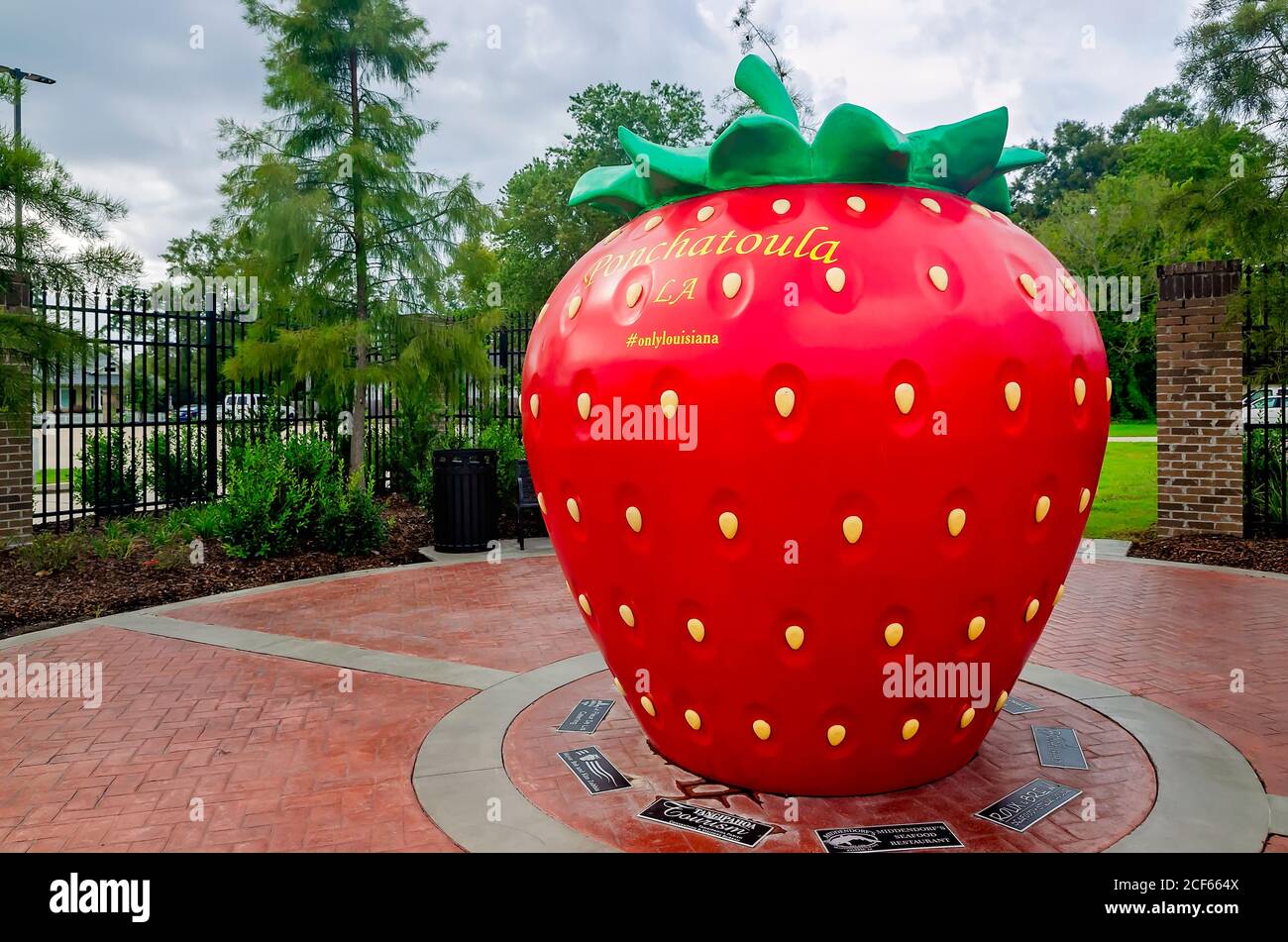 Una gigantesca statua di fragola è raffigurata di fronte al municipio di Ponchatoula in West Hickory Street, 31 agosto 2020, a Ponchatoula, Louisiana. Foto Stock