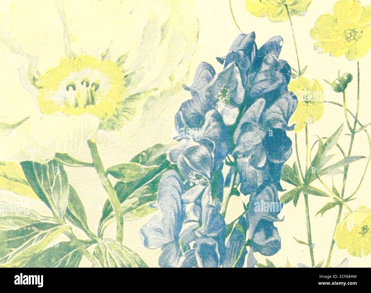 . Il libro della fotografia; pratico, teorico e applicato. Ni -: i / STAMPA SOLO DA BLOCCO ROSSO. t. STAMPA IN GIALLO E BLU. FOTOGRAFIA ORTHOCHROMATIC. 449 insoddisfacenti, e li nana in colline di molestie. Un fatto di whicli non dovrebbe essere lostsight è che, quando fotogiaphing ina luce gialla, uno schermo è solitamente non-necessario e può anche essere nocivo. Si vedrà che le tiiere sono certe considerazioni estetiche da prendere in accountoltre a quelle di interesse scientifico. Sothat, per arrivare ad una conclusion definita per quanto riguarda la scelta di piatti e schermi, sarà necessario a. Foto Stock
