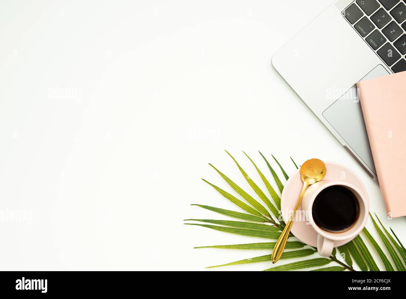 Vista dall'alto dell'area di lavoro creativa con netbook e tazza di espresso caldo posizionato sulla foglia di palma Foto Stock