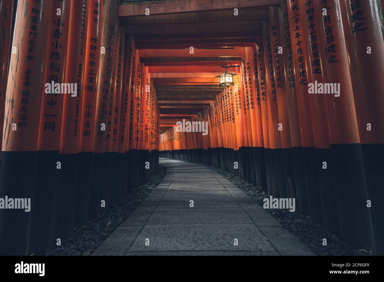 Fushimi Inari Taisha con percorso in pietra circondato da Torii rossi porte e illuminato da lanterna tradizionale Foto Stock