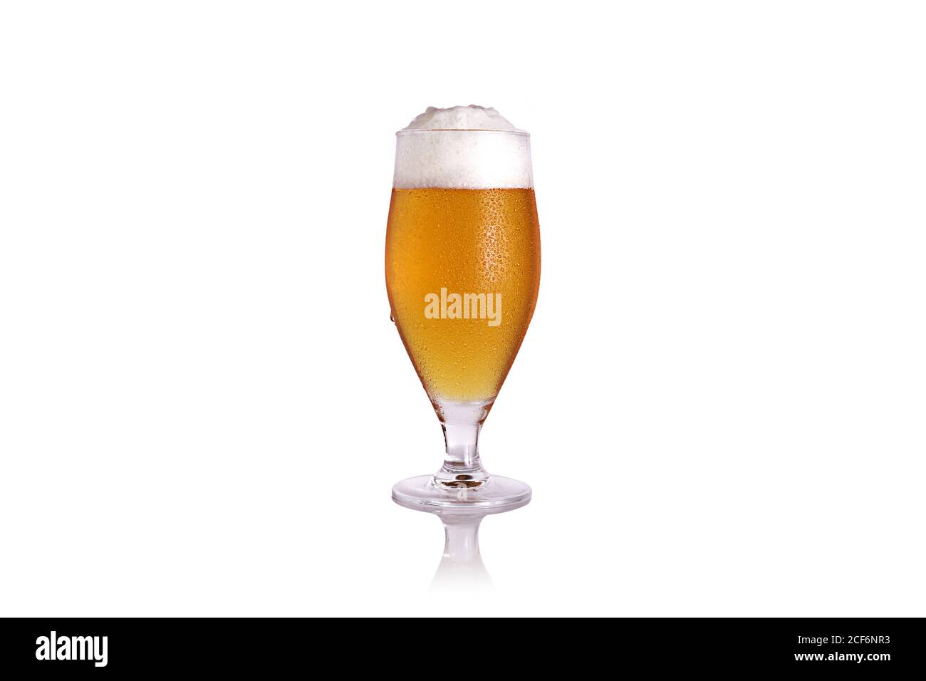 Pilsner condensato bicchiere di birra fredda e deliziosa con schiuma bianca isolato su sfondo bianco riflettente Foto Stock