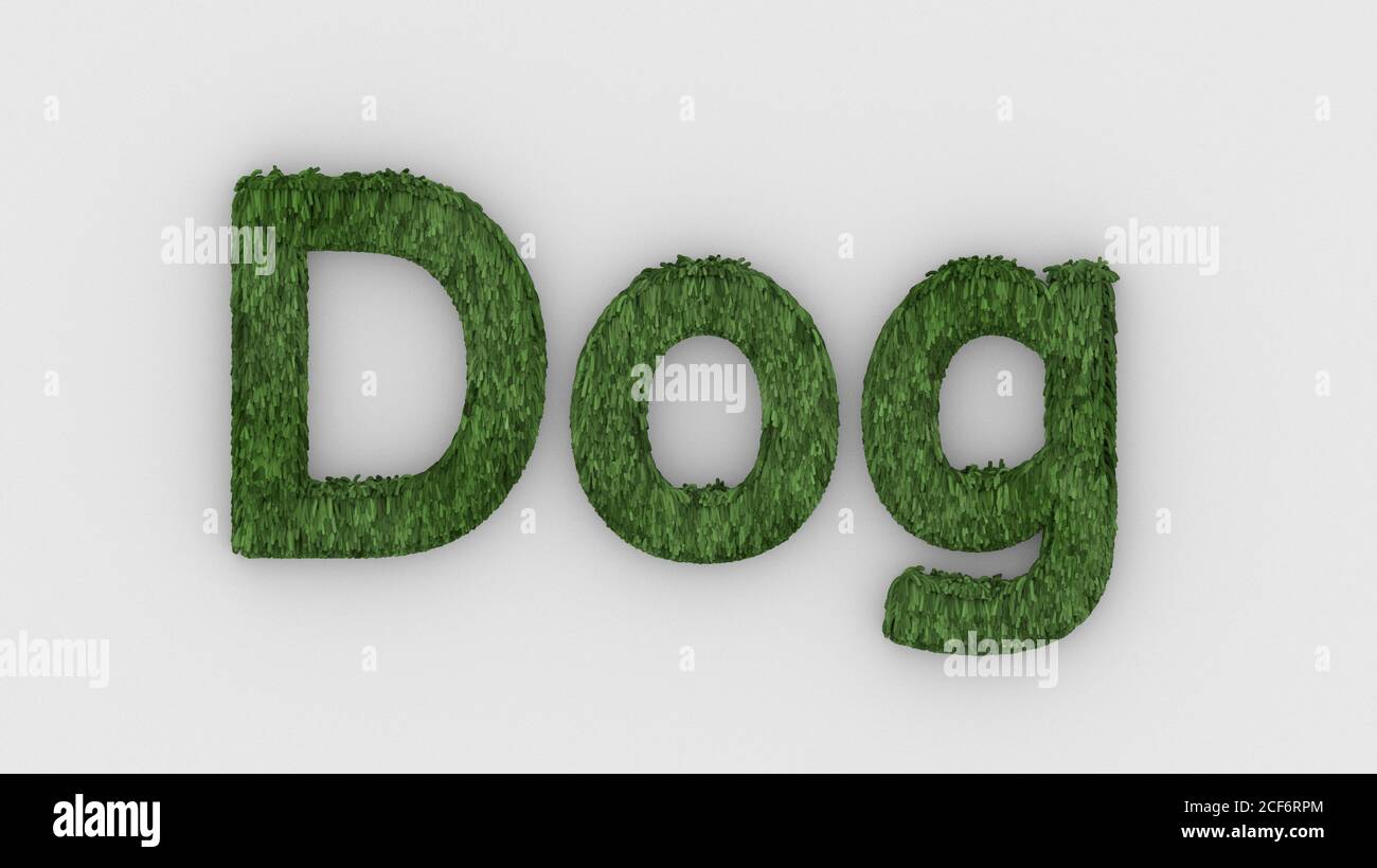 Cane - parola 3d verde su sfondo bianco. Rendering di lettere furry. Pelliccia di animali domestici. Negozio di animali domestici, casa per animali domestici, modello con logo per la cura degli animali domestici. Veterinario Foto Stock