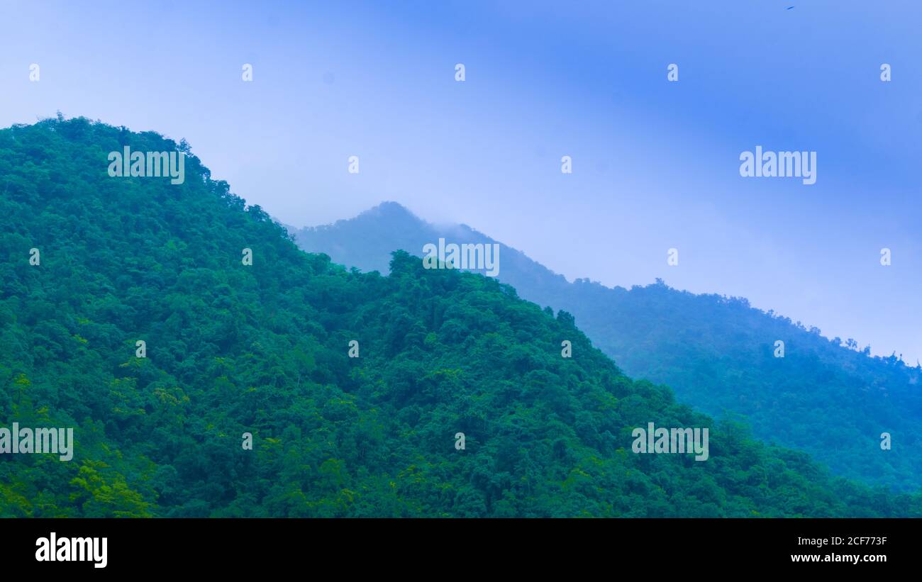 Nelle alte montagne di Uttarakhand, le montagne coperte di erba verde e alberi, che toccano la nuvola, è meraviglioso vedere il blu Foto Stock