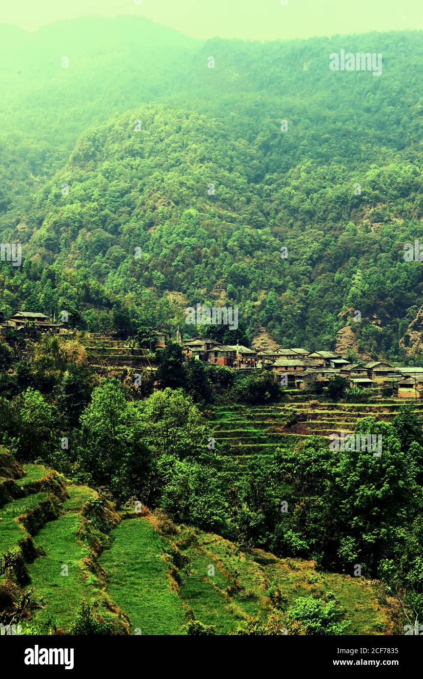 Sul pendio del monte Panchase si trova il villaggio agricolo di Sidhane, dove la comunità gestisce anche l'ecoturismo. Sidhane, Gandaki Pradesh, Nepal. Foto Stock