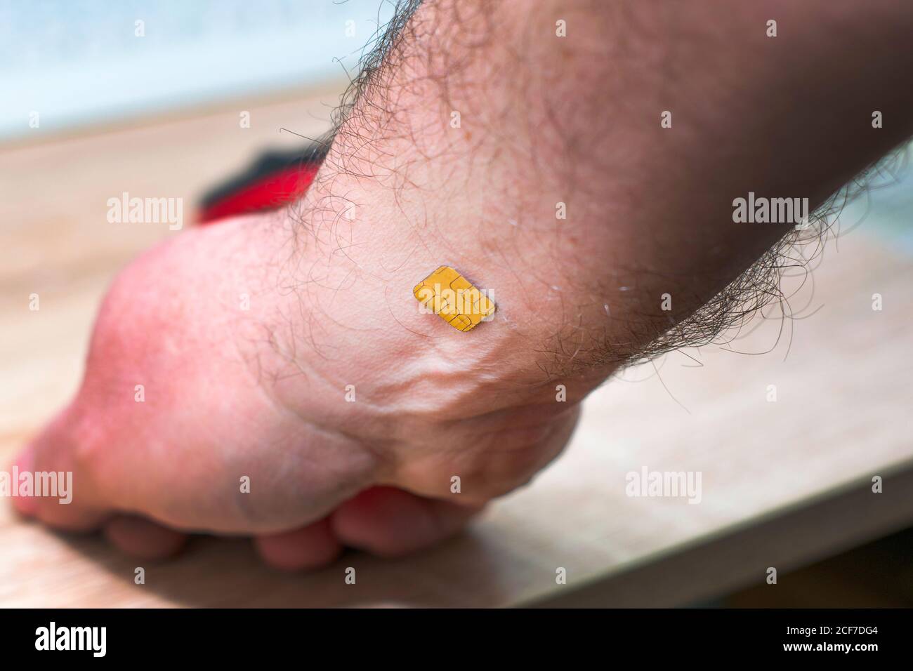 concetto di chipizzazione del microchip di popolazione montato in una mano umana Foto Stock