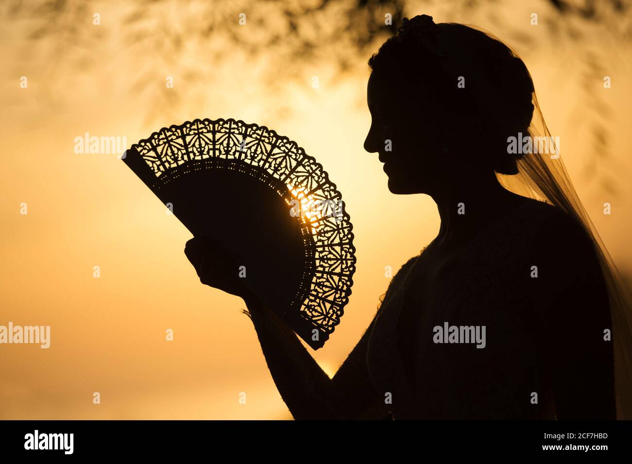 Vista laterale della silhouette della fidanzata con tenuta del velo nuziale fan vintage di sera su sfondo sfocato Foto Stock