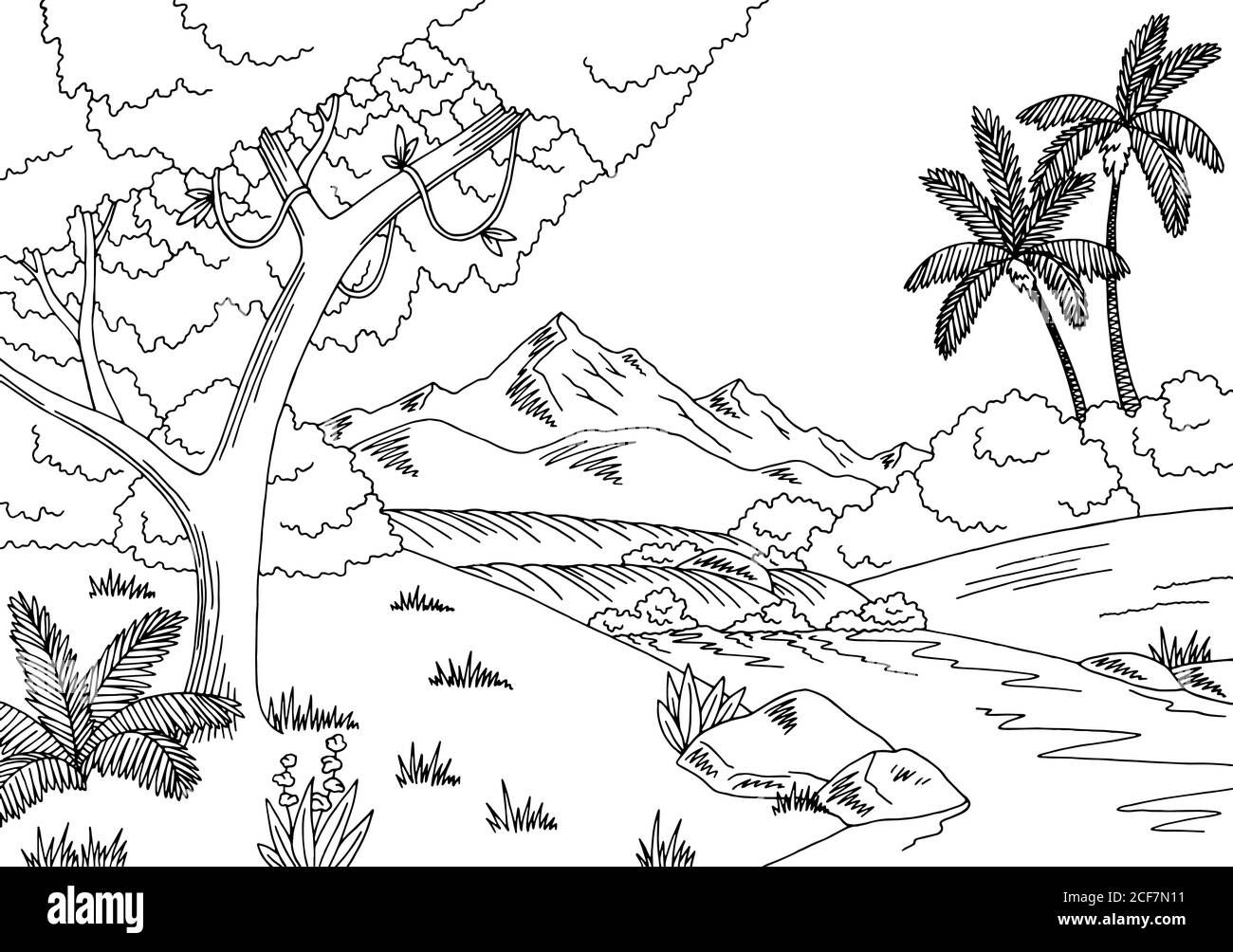 Jungle River grafica nero bianco disegno paesaggio vettore illustrazione Illustrazione Vettoriale