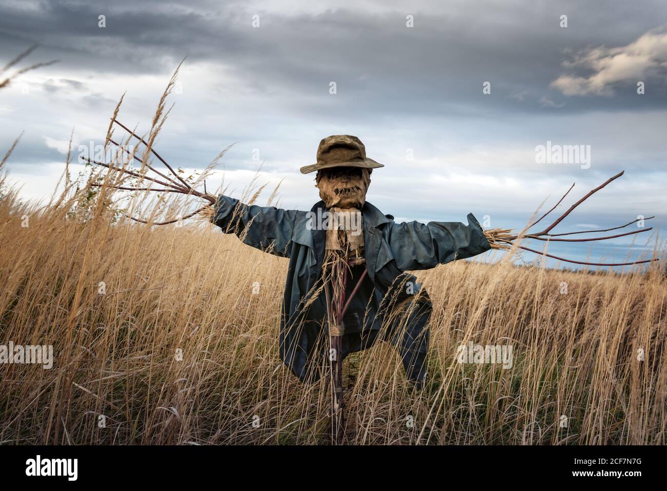 Terribile scarecrow in cappello sporco si erge da solo in un campo autunnale. Concetto di Halloween Foto Stock